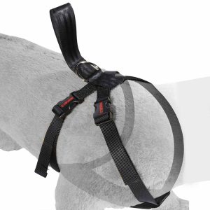 Cinturón de seguridad para Mascotas